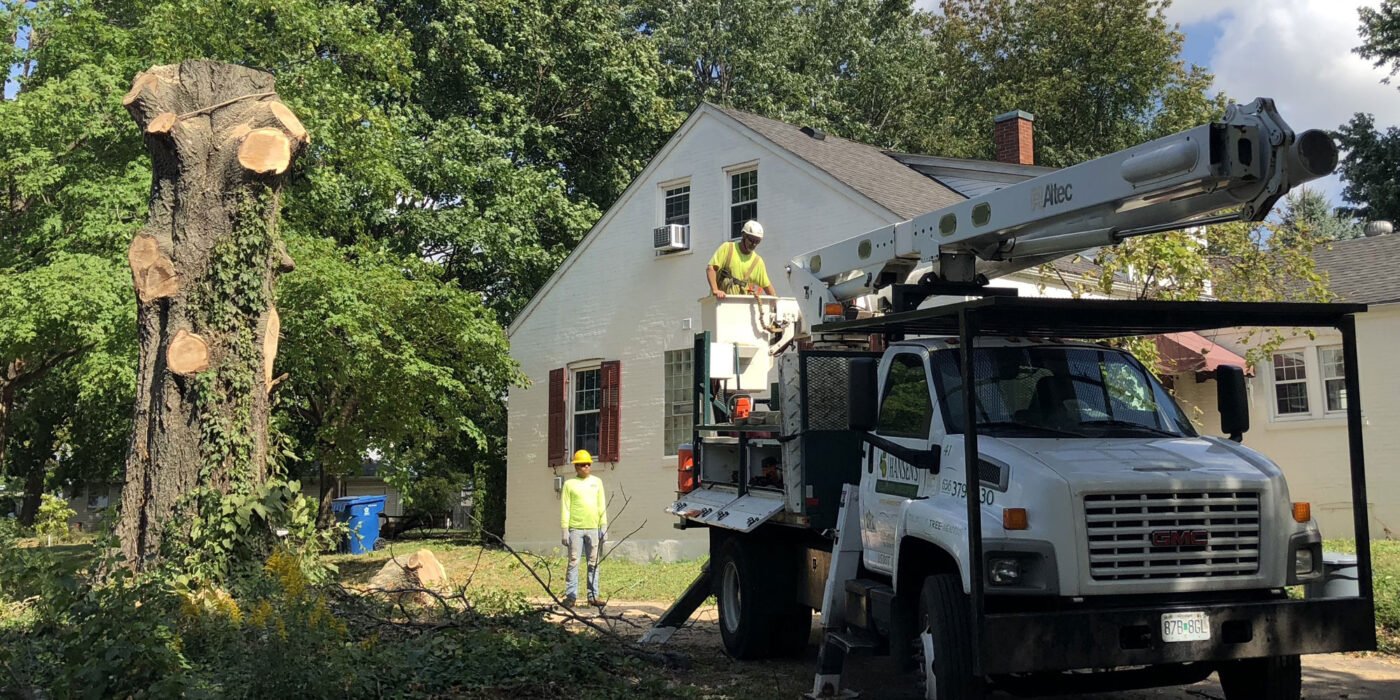 Hansen's Tree Service